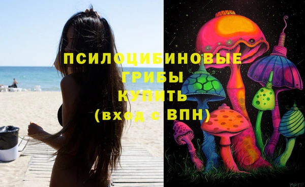 Альфа ПВП Кукмор