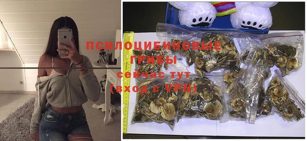 Альфа ПВП Кукмор